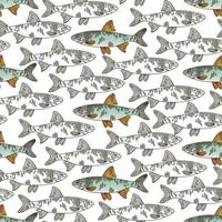 en mönster av grafisk vit fisk med en kontur och färgad fisk med en kontur. fisk simma i annorlunda vägbeskrivningar. sömlös mönster för utskrift på textilier och papper. gåva omslag, skriva ut på kläder vektor