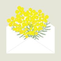 Bouquet von Mimosen im Postumschlag. frühlingsgelbe blumen. geschenk für mama, mädchen, grußkarte vektor