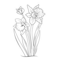 Skizze des Umrisses Narzisse Blume Malbuch handgezeichnete Vektorillustration künstlerisch gravierte Tinte Kunstblüte Narzisse Blumen isoliert auf weißem Hintergrund ClipArt vektor