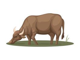 Bauernhofbüffel trinken Wasser im Sumpf. Illustrationsvektor für das ländliche Tierleben vektor