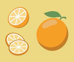 frische orangenscheiben fruchtkarikaturvektorillustration lokalisiert vektor