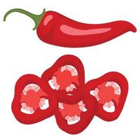 röd varm chili peppar. skivor av chili peppar. vektor illustration av röd chili peppar. isolerat bild av chili peppar.