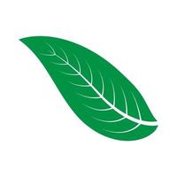 Blatt-Natur-Logo vektor