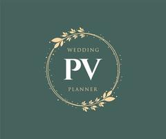 pv initialer brev bröllop monogram logotyper samling, hand dragen modern minimalistisk och blommig mallar för inbjudan kort, spara de datum, elegant identitet för restaurang, boutique, Kafé i vektor