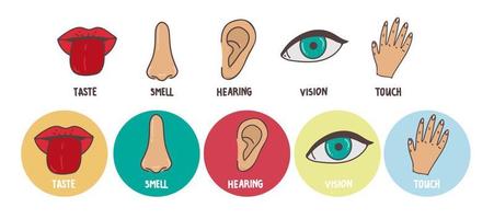 fünf Liniensymbole für menschliche Sinne gesetzt. Symbole für Sehen, Riechen, Hören, Berühren und Schmecken. menschliche Sinnesorgane. Auge, Nase, Ohr, Hand, Mund-Icon-Set.