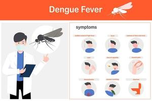 Dengue-Fieber-Symptome vektor