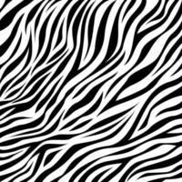 zebra djur- hud skriva ut mönster. sömlös bakgrund med zebra hud mönster. zebra djur- motiv vektor sömlös mönster. zebra hud mönster.