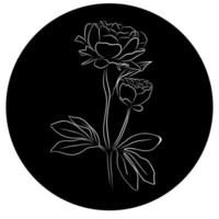 Zeichnung einer Pfingstrose mit einer weißen Linie auf einem schwarzen Hintergrund mit abgerundeter Form, Logo, Symbol. elegante Blumenlinie, Vektorkunstillustration. vektor