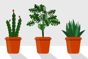 Zimmerpflanzen im flachen Stil in Töpfen, Vektorillustration. Disocactus, Monstera, Sansevieria. vektor