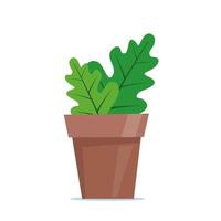 süße grüne Topfpflanze im flachen Stil. Vektor-Illustration. vektor