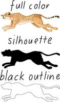 Satz Leopard in Farbe, Silhouette und schwarzem Umriss auf weißem Hintergrund vektor