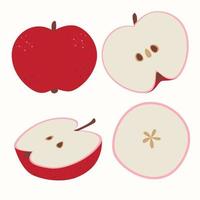 Vektorillustration auf Lager mit einer Reihe von Äpfeln auf weißem Hintergrund, rote Äpfel, Scheiben. Zeitgenössische Äpfel. süße bunte Sommerfrucht für Icon-Design, Aufkleber. Folge 10 vektor