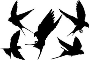 fliegender Vogel Silhouettenvektor für Websites, Grafiken im Zusammenhang mit Kunstwerken vektor