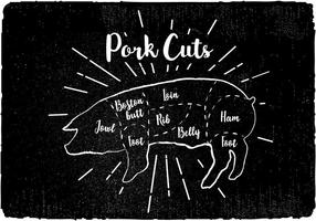 Fläskskuret diagram vektor