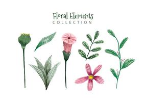 Nette Aquarell-Elemente Blumen Und Blätter