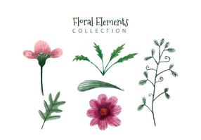 Nette Aquarell-Rosa-Blumen und grüne Blätter-Sammlung vektor