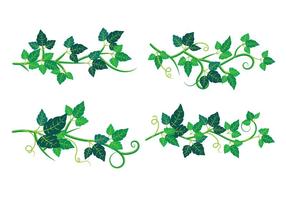 Set av Poison Ivy Plant vektor