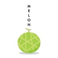 Melone-Vektor. Melone auf weißem Hintergrund. Hintergrund. Logo Design. vektor