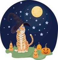 eine Illustration, die ein süßes Tigerjunges in einem Hexenhut zeigt, das auf dem Gras sitzt, umgeben von Kürbissen, Laternen, Halloween-Symbolen, vor dem Hintergrund des Nachthimmels mit Mond und Sternen vektor