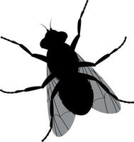 die Silhouette einer Fliege. Ansicht von oben fliegen. ein fliegendes Insekt. Vektor-Illustration isoliert auf weißem Hintergrund vektor