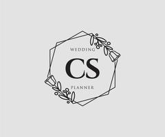 första cs feminin logotyp. användbar för natur, salong, spa, kosmetisk och skönhet logotyper. platt vektor logotyp design mall element.