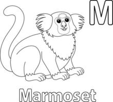 marmoset alphabet abc isoliert malvorlage z vektor