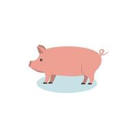 Rosa Schwein im flachen Stil isoliert auf weißem Hintergrund. Schweinesymbol für Web und Banner. Vektor-Illustration vektor