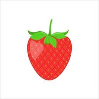 flache Abbildung, Erdbeeren auf weißem Hintergrund vektor