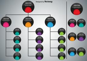 Vector Modern Organisation Chart