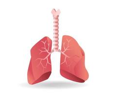 isometrische flache 3d-illustration des anatomiekonzepts der speiseröhre zur lunge vektor