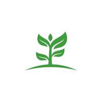 Logo mit grünen Blättern. Pflanze Natur Öko Garten stilisierter Symbolvektor botanisch. vektor