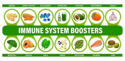 Infografik-Diagramm zu Nahrungsmittelboostern für das Immunsystem vektor