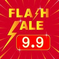 9.9 Flash Sale Social Media Marketing Hintergrundvorlage. Flash Sale Shopping Poster oder Banner mit Flash Icon und 9.9 Text auf rotem Hintergrund. Sonderangebot Flash Sale Kampagne oder Promotion. Vektor. vektor