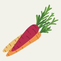 Gekritzel-Freihand-Einfachheitszeichnung von Karotten. vektor