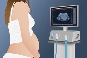 Ein beschnittenes Foto einer schwangeren Frau nach einem Ultraschall zeigt das Geschlecht des zukünftigen Babys auf dem Monitor des Geräts vektor
