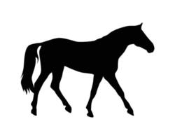 Pferd-Silhouette-Vektor-Vorlage vektor