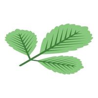 grünes Herbstblatt-Symbol, isometrischer Stil vektor