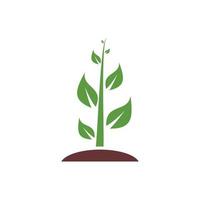 Logodesign für grüne Pflanzen vektor