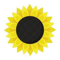 Sonnenblumen-Symbol, flacher Stil vektor