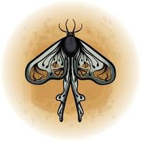 Boho Blumenschmetterling Motte Insekt detaillierte Vektorillustration 16 vektor
