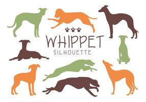 Whippet Hund Silhouette Vektoren