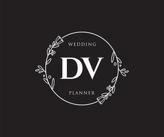 anfängliches dv feminines Logo. verwendbar für Natur-, Salon-, Spa-, Kosmetik- und Schönheitslogos. flaches Vektor-Logo-Design-Vorlagenelement. vektor