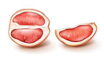 Vektorhälfte und Scheibe rote Grapefruit