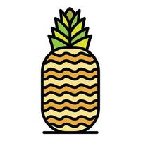 Ananas-Symbol Farbumrissvektor vektor