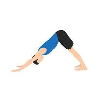 man gör adho mukha svanasana eller nedåtvänd hundyogapose, vektorillustration i trendig stil vektor