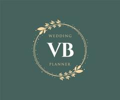 vb initialen brief hochzeitsmonogramm logos sammlung, handgezeichnete moderne minimalistische und florale vorlagen für einladungskarten, save the date, elegante identität für restaurant, boutique, café im vektor