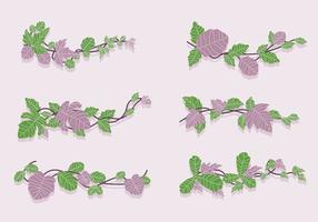 Grün und lila Poison Ivy Rebe Vektor-Illustration vektor