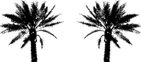 Schwarze Bäume isoliert auf weißem Hintergrund. Baum-Silhouetten. Gestaltung von Bäumen für Plakate, Banner und Werbeartikel. Vektor-Illustration vektor