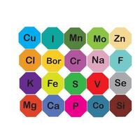 mineraler mikroelement och makro element, användbar för mänsklig hälsa. grundläggande av friska äter och friska livsstilar. vektor