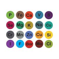 mineraler mikroelement och makro element, användbar för mänsklig hälsa. grundläggande av friska äter och friska livsstilar. vektor